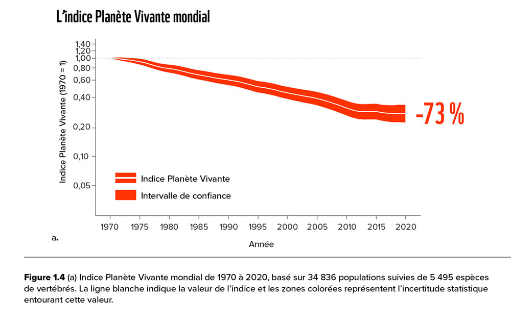 Le rapport Planète Vivante 2024 sur la biodiversité renforce notre mission