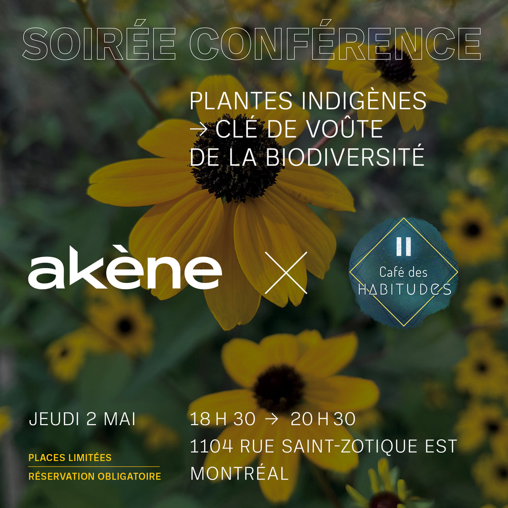 Akène, culture forestière