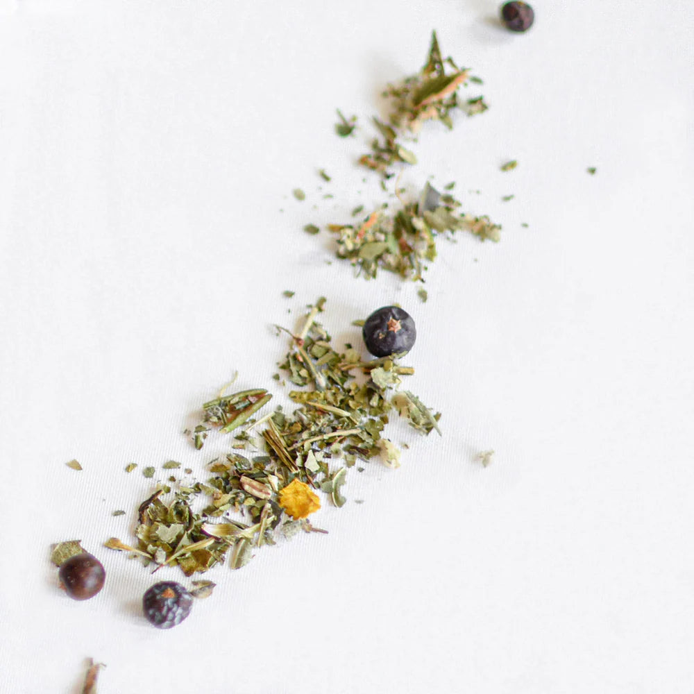 Tisane - Myrique & échinacée