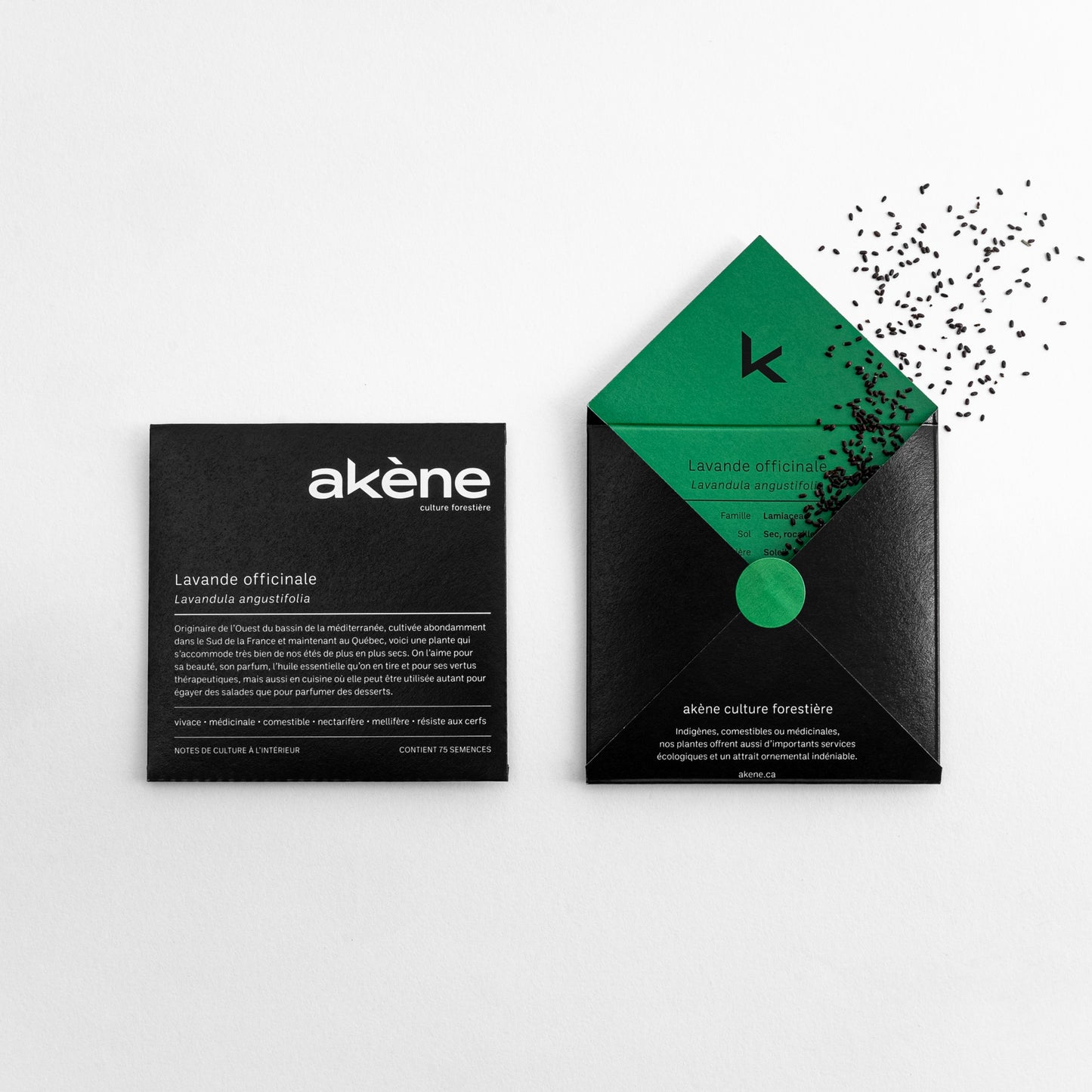 Semences - Lavande officinale