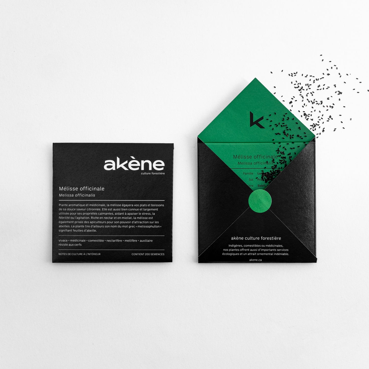 Semences - Mélisse officinale