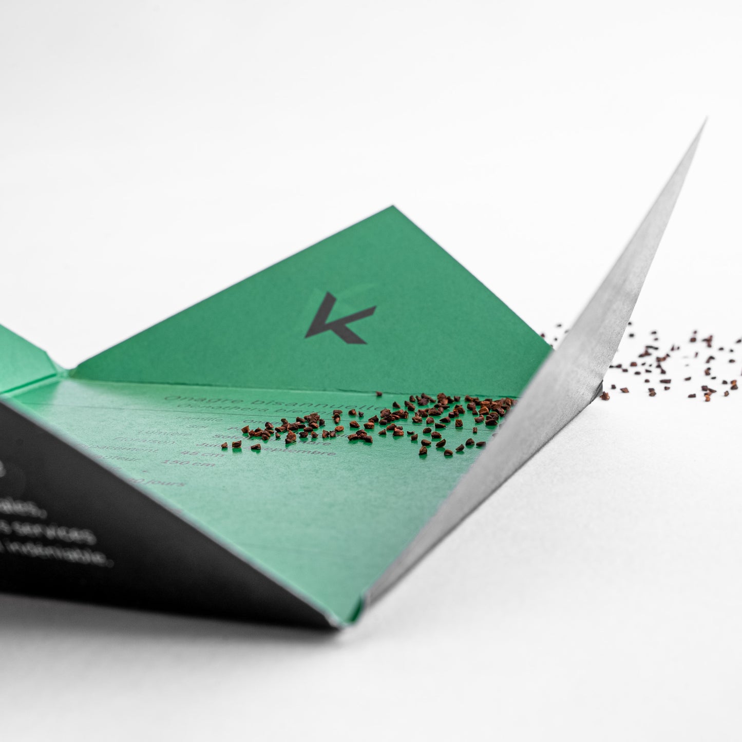 Semences - Onagre bisannuelle