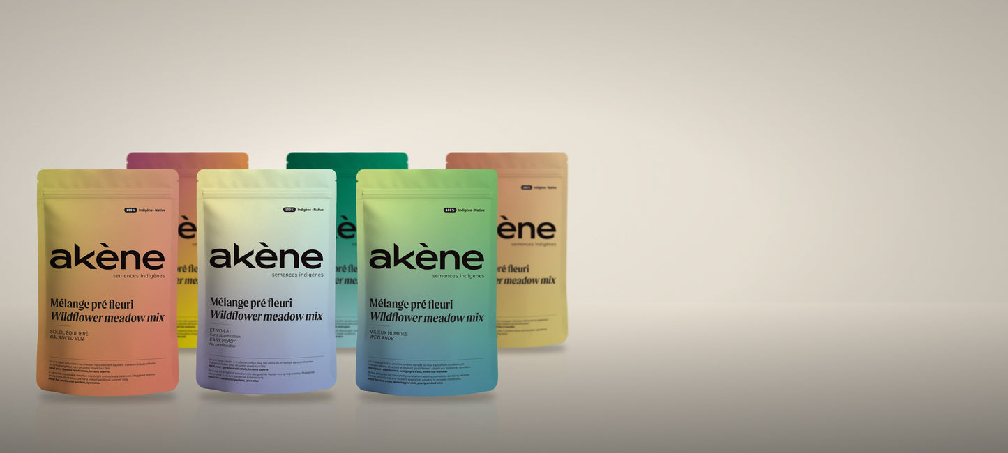 Sachets des mélanges pré fleuri Akène