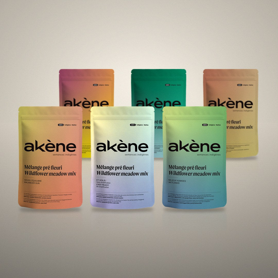 Six sachets de mélanges de semences Akène sur fond crème