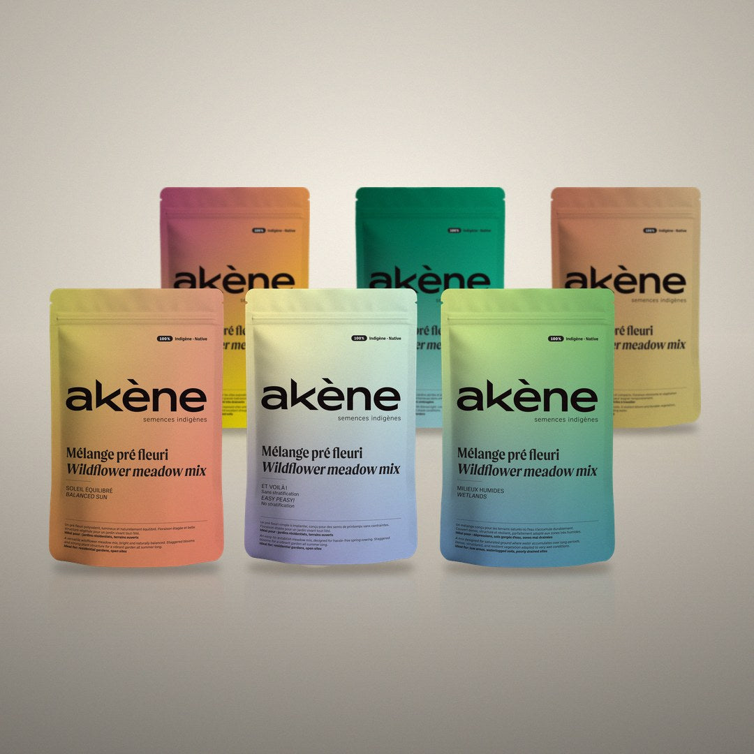 Sachets des mélanges pré fleuri Akène