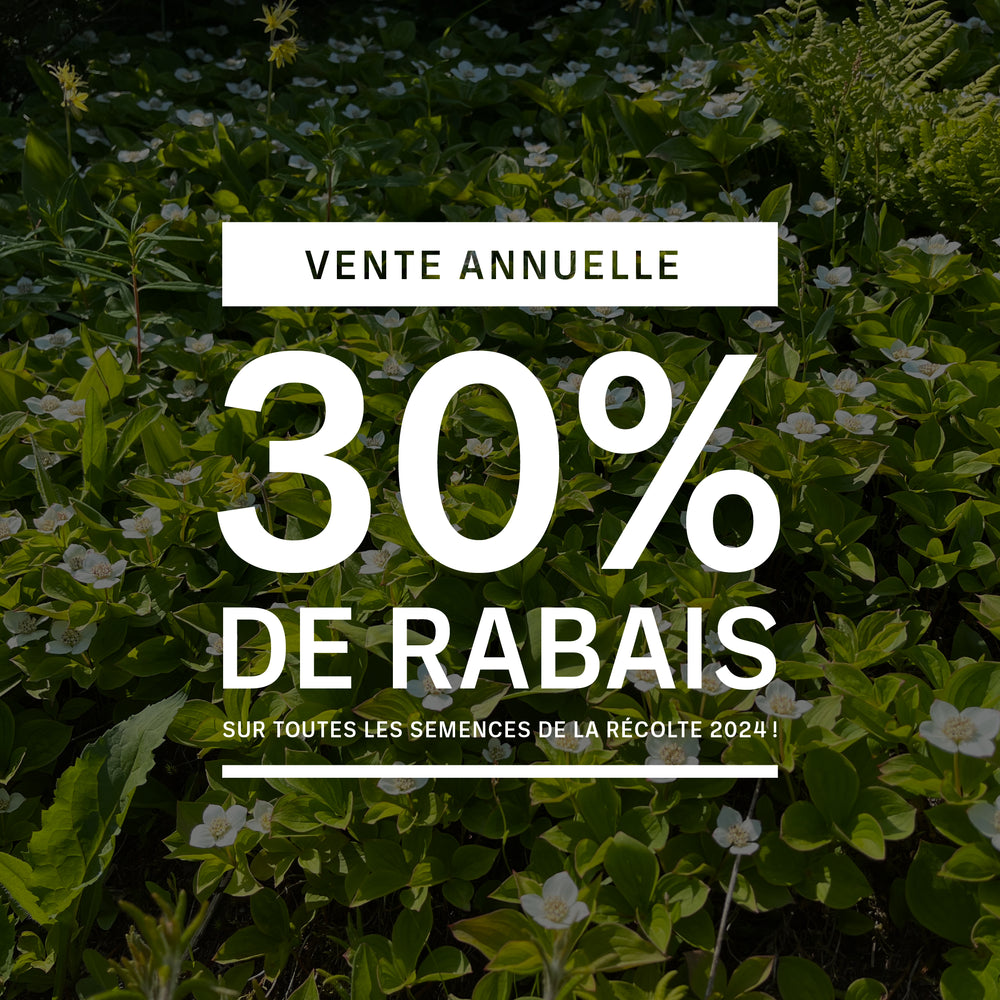 Akène, culture forestière