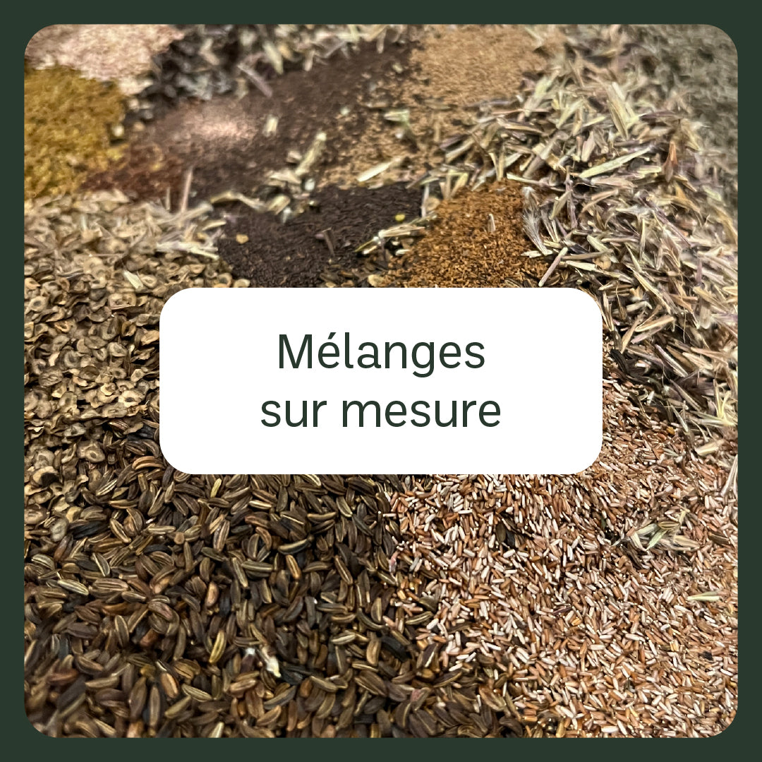 Akène, culture forestière