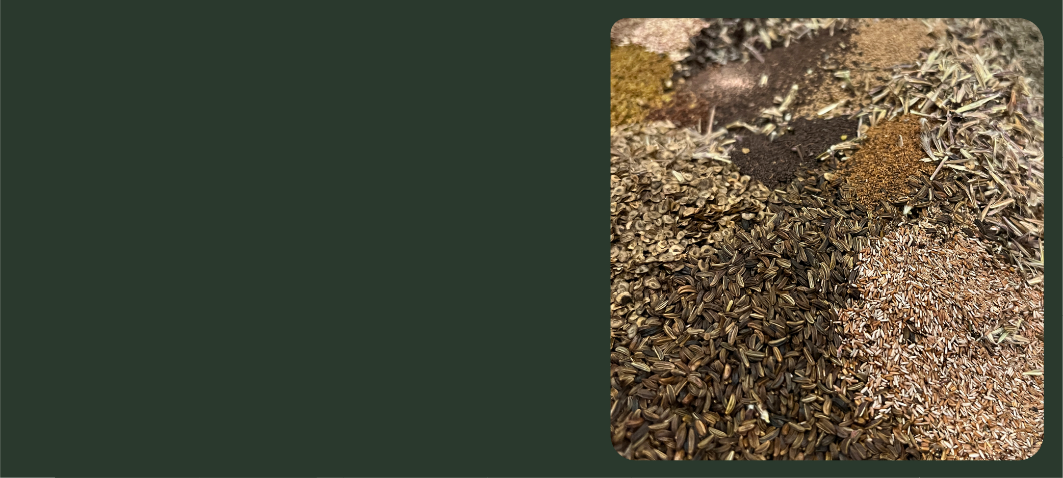Native Seed Producer