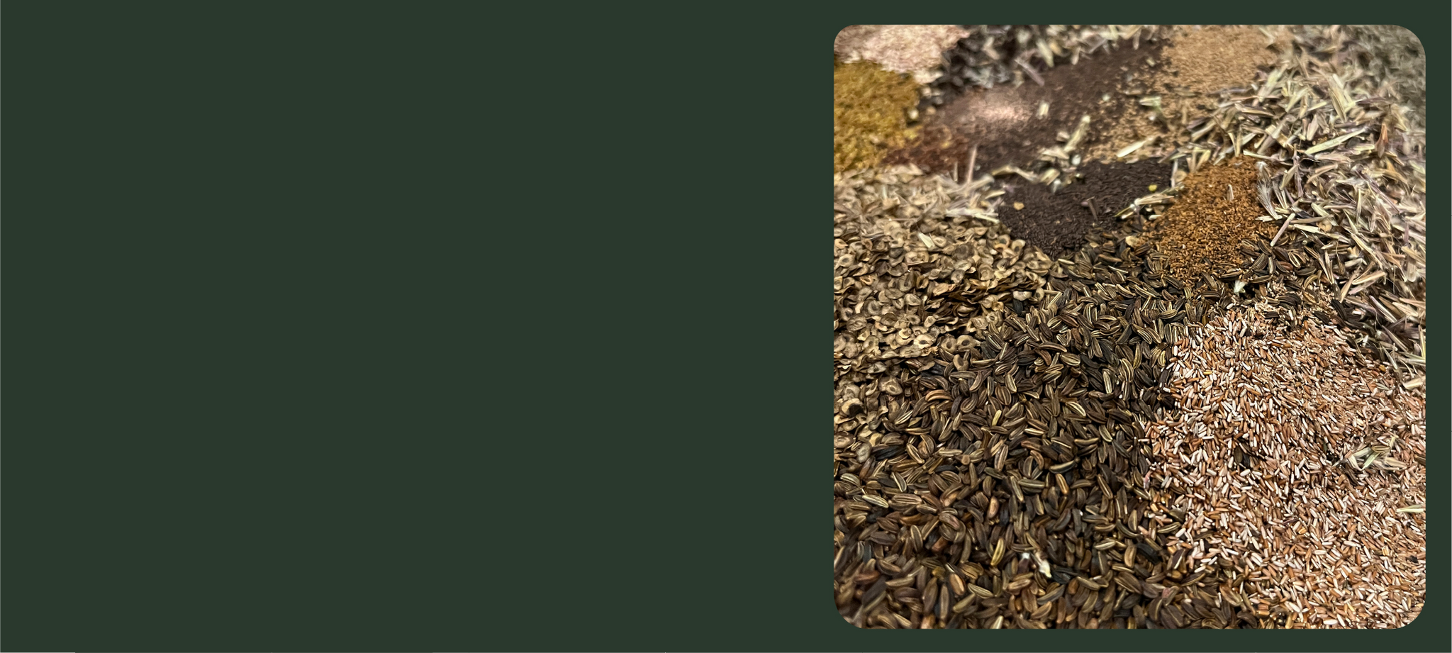 Native Seed Producer