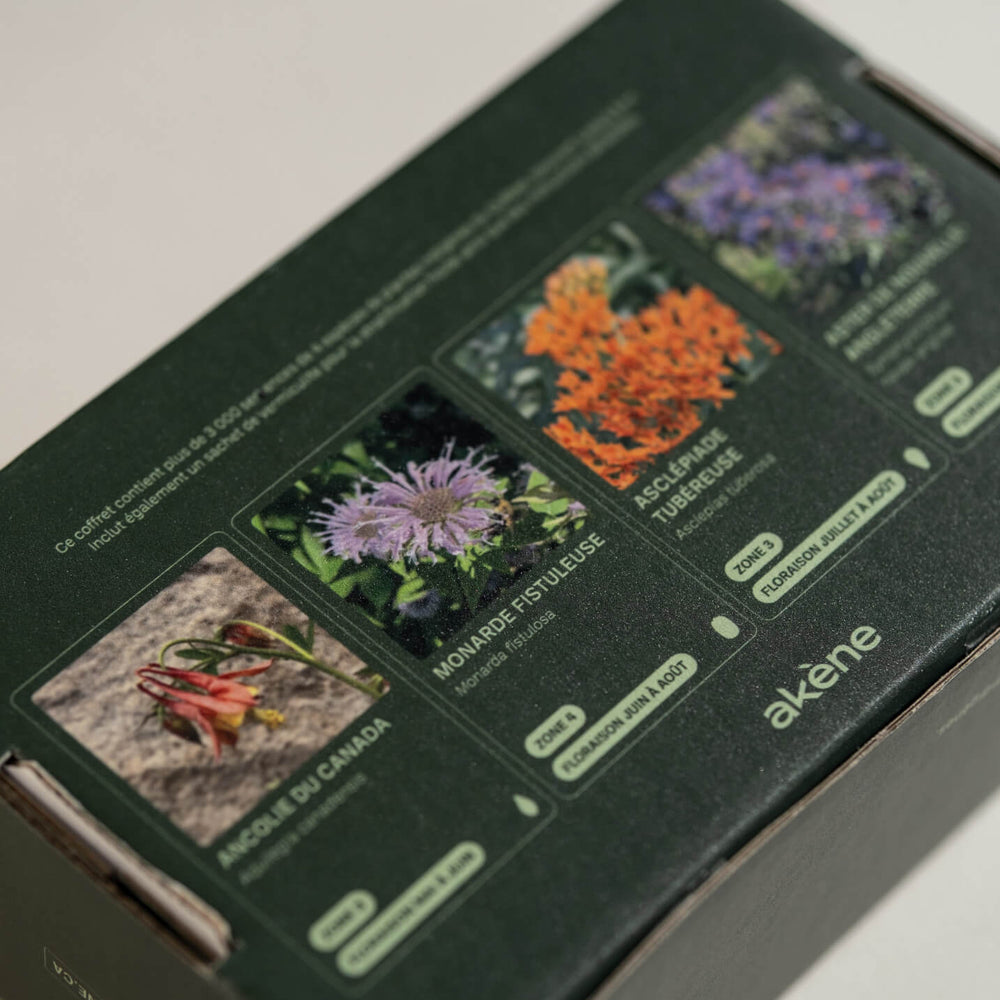 
                  
                    Coffret de semences - Îlot de biodiversité
                  
                