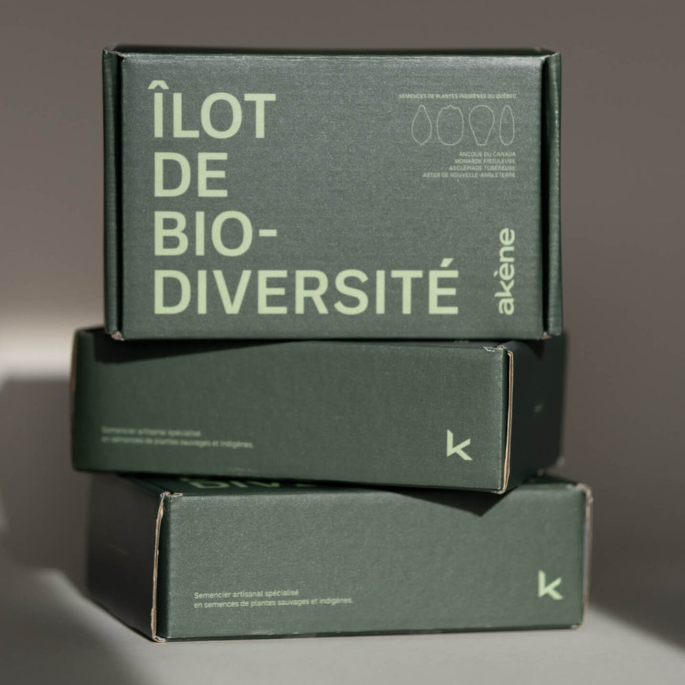 Coffret de semences - Îlot de biodiversité