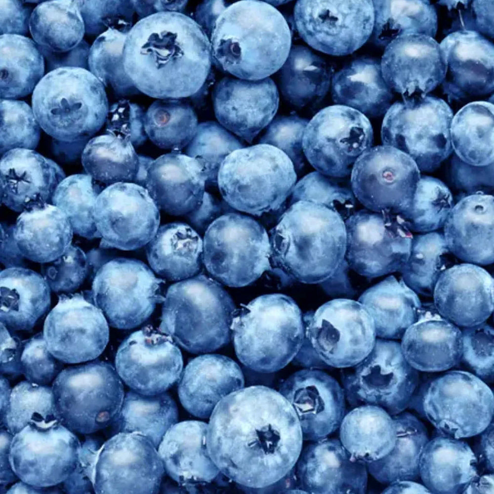 
                  
                    Épicerie sauvage - Confiture de bleuets sauvages
                  
                