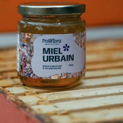 Urban Honey - Polliflora