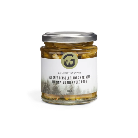 Épicerie sauvage - Gousses d'asclépiade marinées